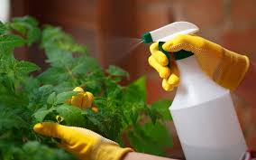 Organic Pesticides